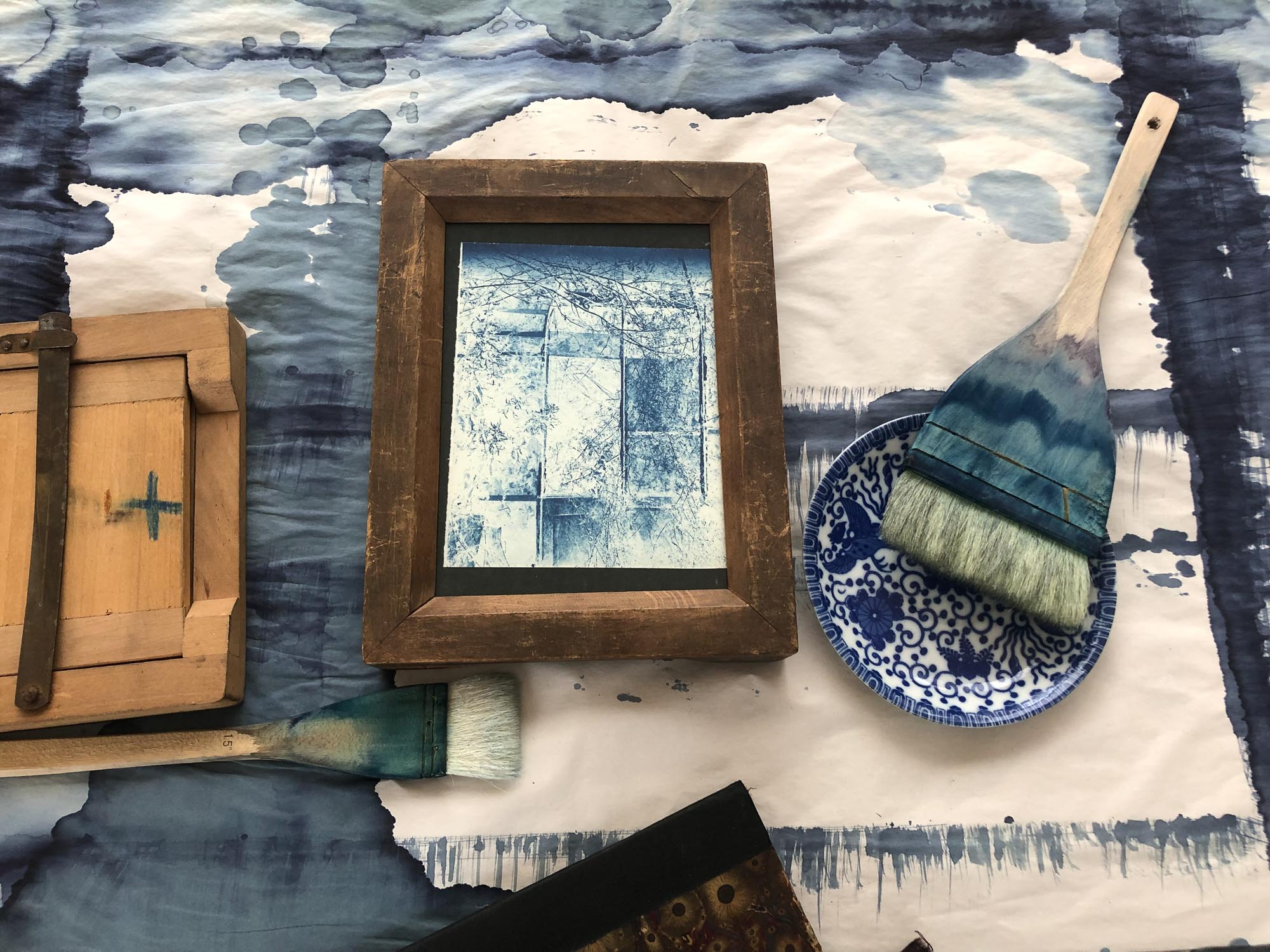  Demo de Cyanotype 